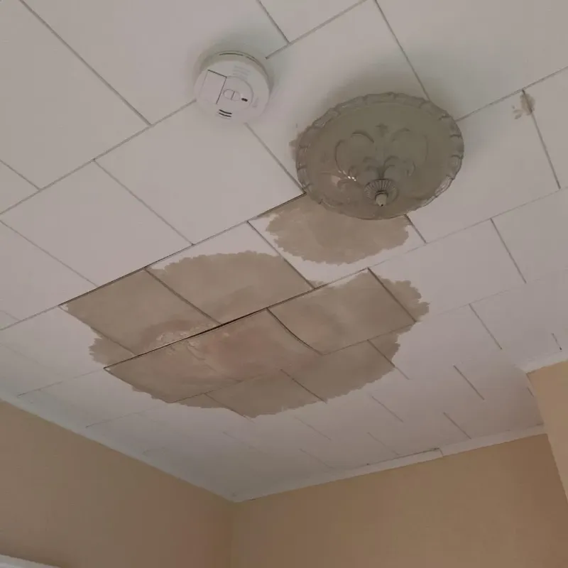 Ceiling Water Damage Repair in Butler County, PA