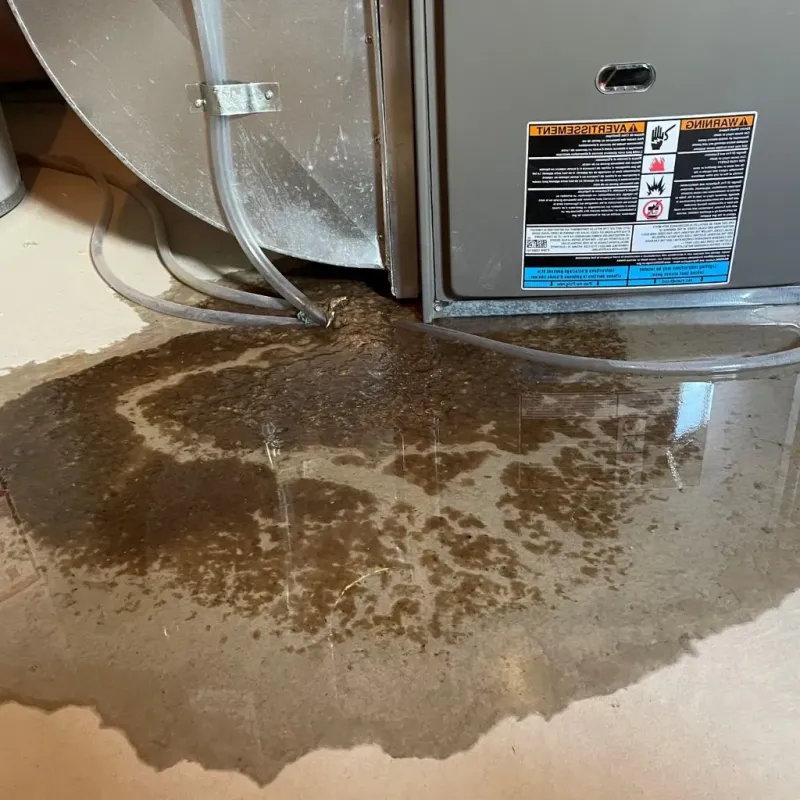 Pipe Burst and Leak Restoration in Butler County, PA